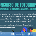 CONCURSO DE FOTOGRAFÍA CONMEMORACIÓN DÍA DE LA ABEJA Y LA BIODIVERSIDAD