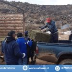 Municipio de Vallenar continúa con la entrega de ayuda y aplicación de ficha FIBE a familias del sector rural