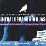 Participa en el 2do Concurso de Fotografía "Aves del Humedal Urbano Río Huasco"