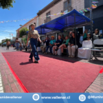 VALLENAR LA LLEVA EN MODA SUSTENTABLE