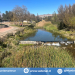 AVANZA LA LIMPIEZA DE CAÑAS EN EL RIBEREÑO