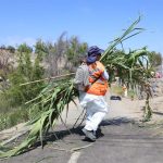 DE LAS PALABRAS A LA ACCIÓN