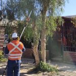 MUNICIPIO EN TERRENO: SEGURIDAD Y PREVENCIÓN EN SECTORES RURALES