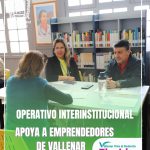 OPERATIVO INTERINSTITUCIONAL APOYA A EMPRENDEDORES DE VALLENAR