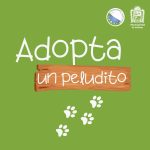 ADOPTA UN PELUDITO